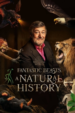 Fantastic Beasts: A Natural History-hd