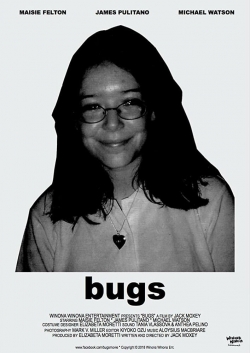 Bugs-hd
