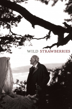 Wild Strawberries-hd