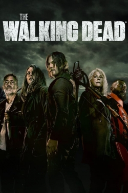 The Walking Dead-hd