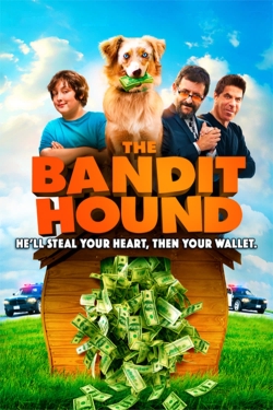 The Bandit Hound-hd