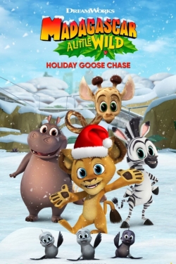 Madagascar: A Little Wild Holiday Goose Chase-hd