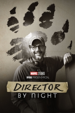 Director by Night-hd
