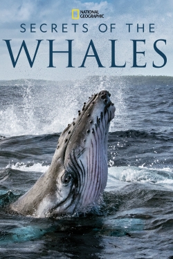 Secrets of the Whales-hd