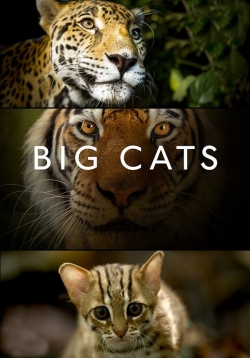 Big Cats-hd