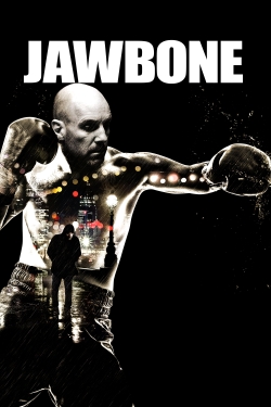 Jawbone-hd