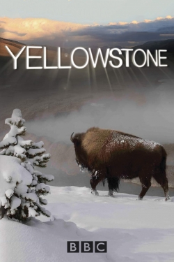 Yellowstone-hd