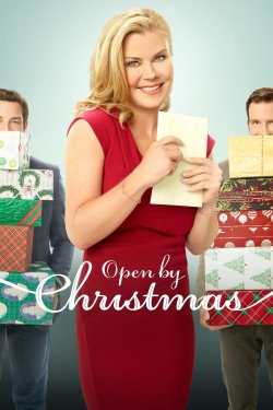 Open by Christmas-hd